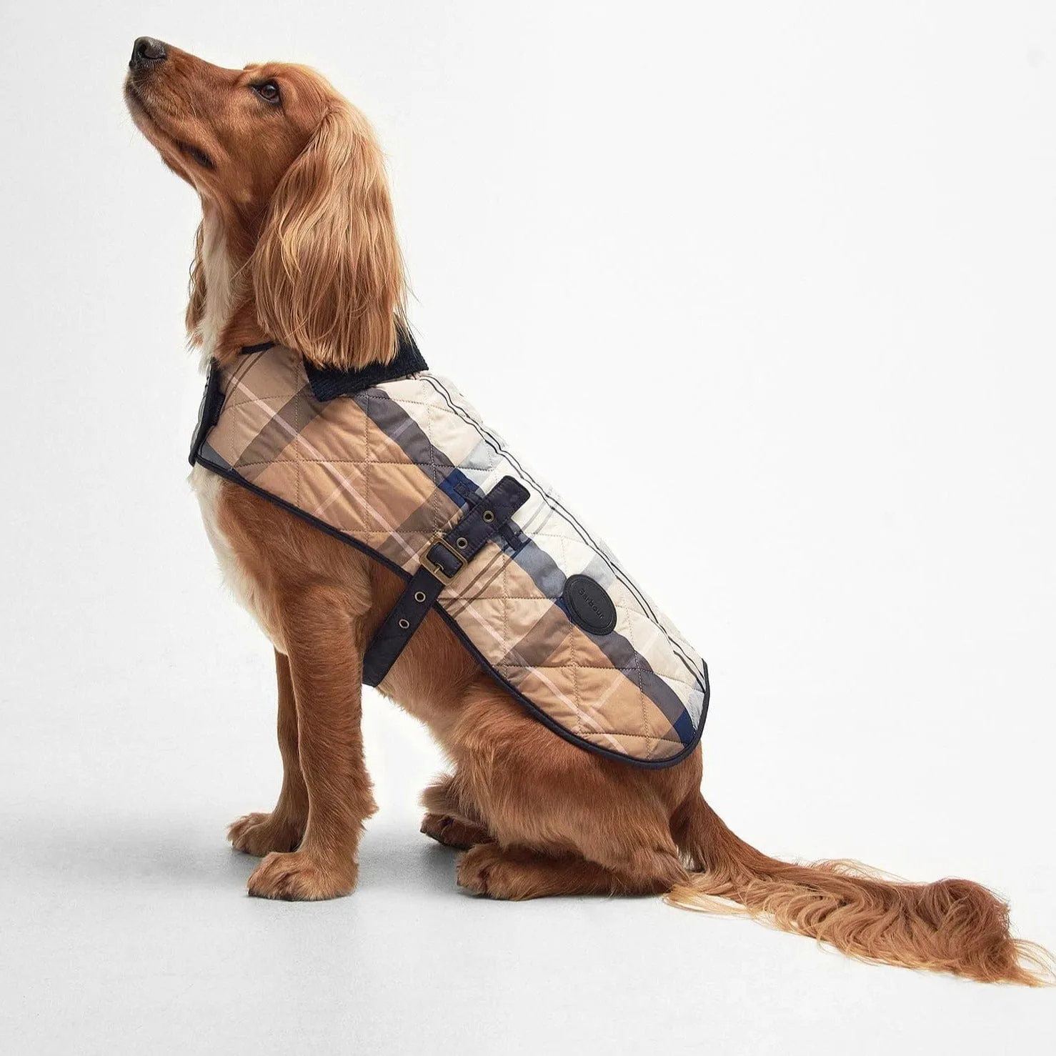 Barbour Tartan Dog Coat in Primrose Hessian, Size Large