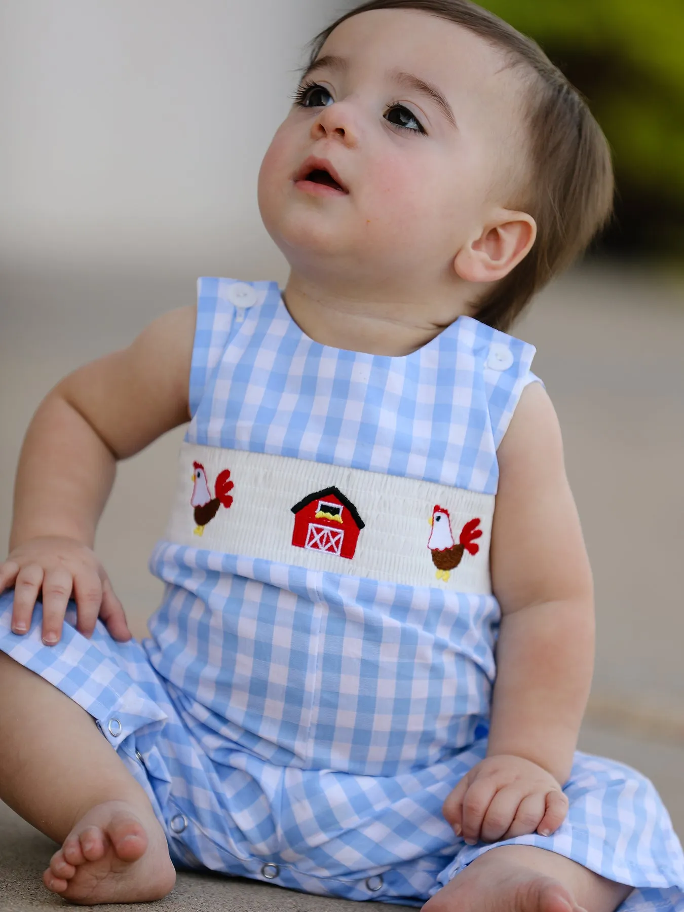 Farm Boys Turkey Plaid Woven Smocking Embroidered Romper